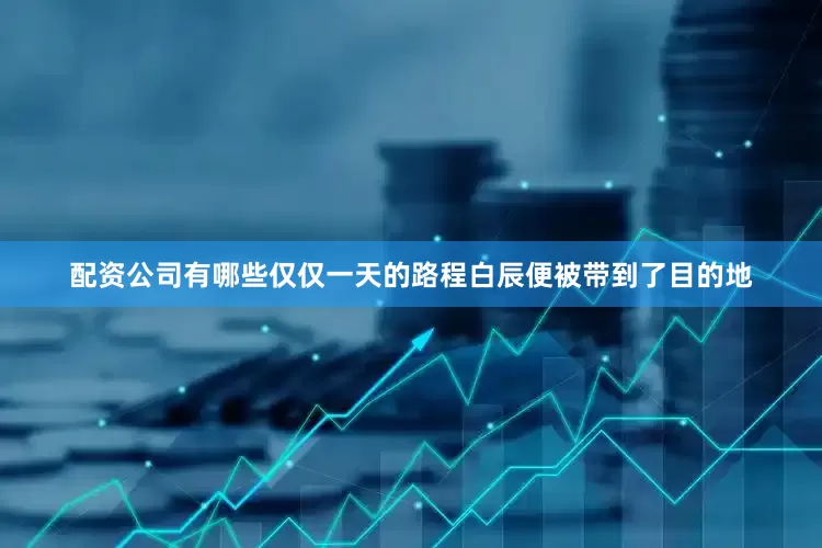 配资公司有哪些仅仅一天的路程白辰便被带到了目的地
