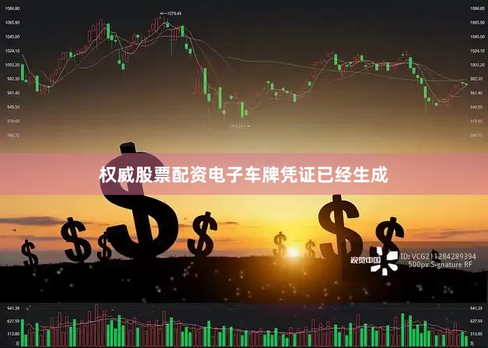 权威股票配资电子车牌凭证已经生成