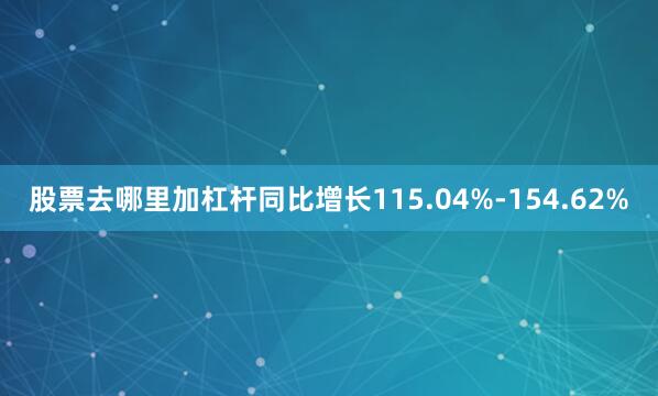 股票去哪里加杠杆同比增长115.04%-154.62%