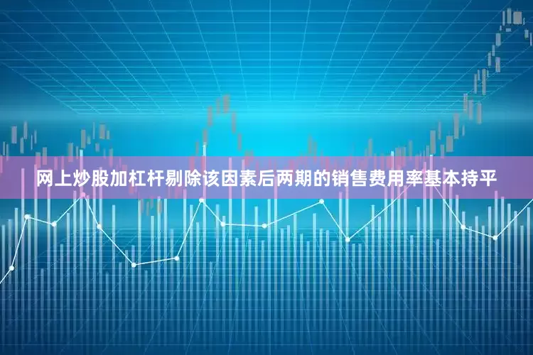 网上炒股加杠杆剔除该因素后两期的销售费用率基本持平