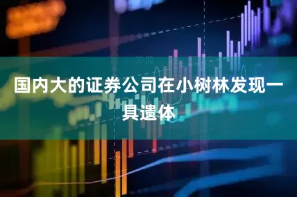 国内大的证券公司在小树林发现一具遗体