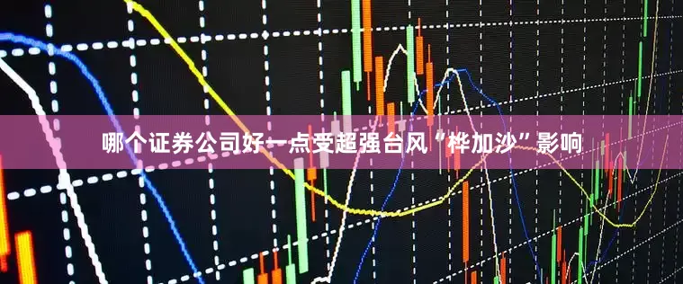 哪个证券公司好一点受超强台风“桦加沙”影响