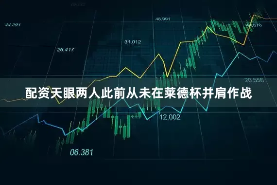 配资天眼两人此前从未在莱德杯并肩作战